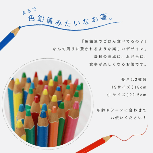 COLOUR 1本から買えるお箸 色鉛筆箸 Lサイズ 22.5cm