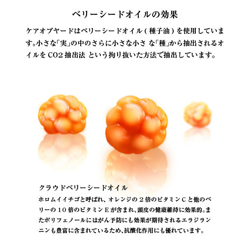 Care of Gerd クラウドベリーシャンプー ボリューム