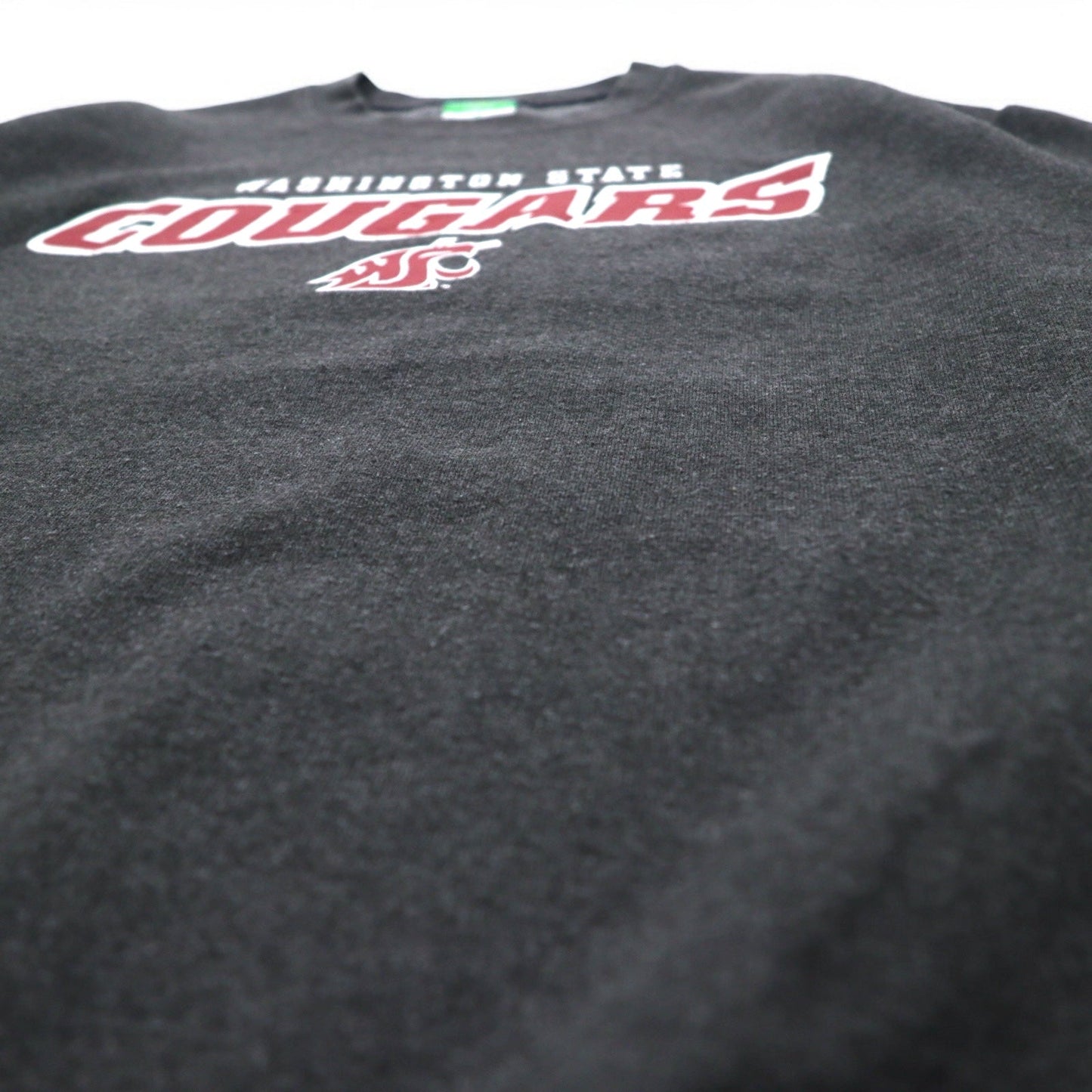 Champion ECO FLEECE カレッジプリント スウェット M グレー 裏起毛 NCAA WASHINGTON STATE COUGARS ホンジュラス製