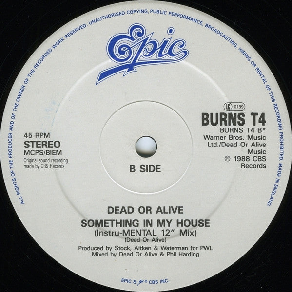 Dead Or Alive - Turn Around And Count 2 Ten (The Pearl And Dean "I Love"-BPM Mix) (Vinyl, 12", 45 RPM, Single, Stereo) Good Plus (G+) / Very Good (VG)