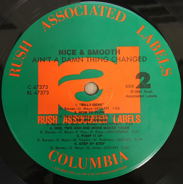 Nice & Smooth - Ain't A Damn Thing Changed (Vinyl, LP, Album) Very Good (VG) / Very Good (VG)