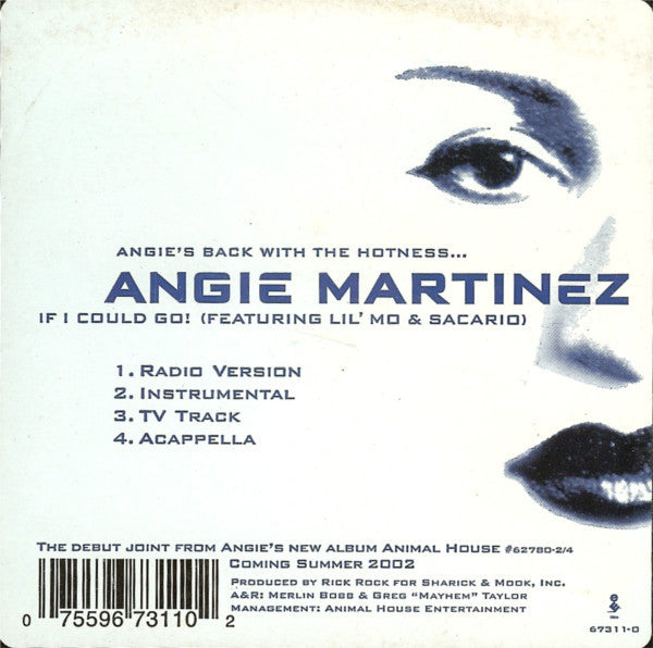 Angie Martinez - If I Could Go (Vinyl, 12", 33 ⅓ RPM, Stereo) Very Good Plus (VG+) / Very Good (VG)