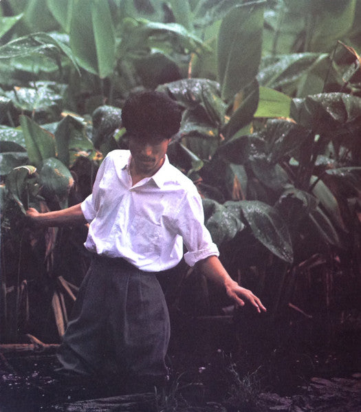 Yukihiro Takahashi - Tomorrow's Just Another Day (Vinyl, LP, Album)