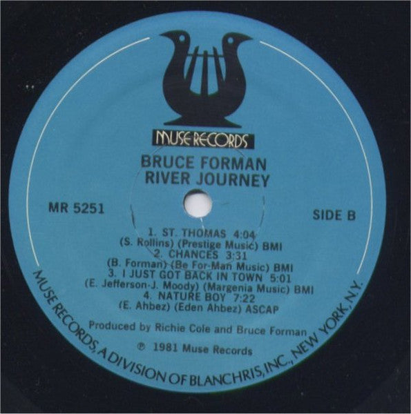 Bruce Forman - River Journey (Vinyl, LP, Album)