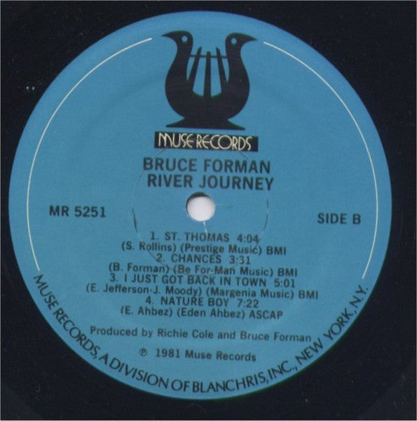 Bruce Forman - River Journey (Vinyl, LP, Album)