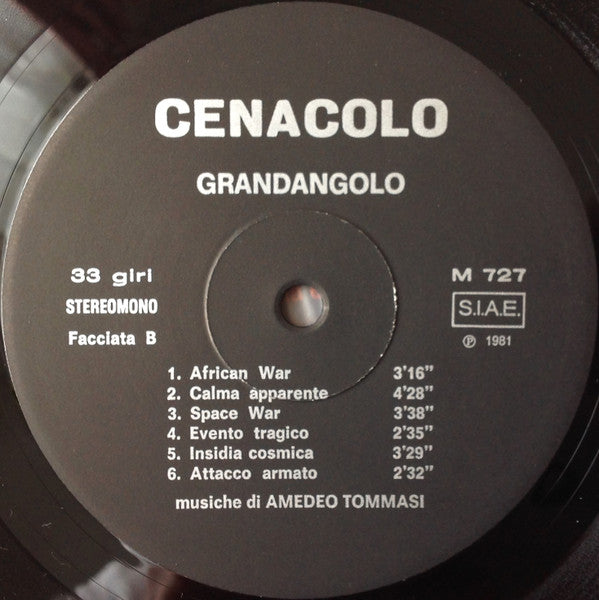 Amedeo Tommasi - Grandangolo (Vinyl, LP, Stereo) Very Good (VG) / Very Good Plus (VG+)