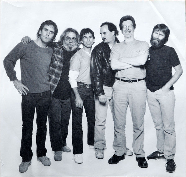 The Grateful Dead - In The Dark (Vinyl, LP, Album, Stereo) Very Good (VG) / Very Good Plus (VG+)