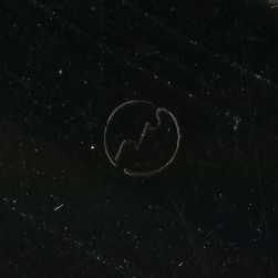 Charlie Monroe - Golden Blue Grass Highlight, Vol. 3, The Best Of Charlie Monroe (Vinyl, LP, Compilation, Mono) Very Good (VG) / Very Good (VG)