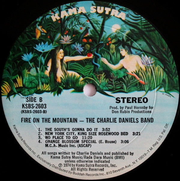 The Charlie Daniels Band - Fire On The Mountain (Vinyl, LP, Album) Good Plus (G+) / Very Good Plus (VG+)