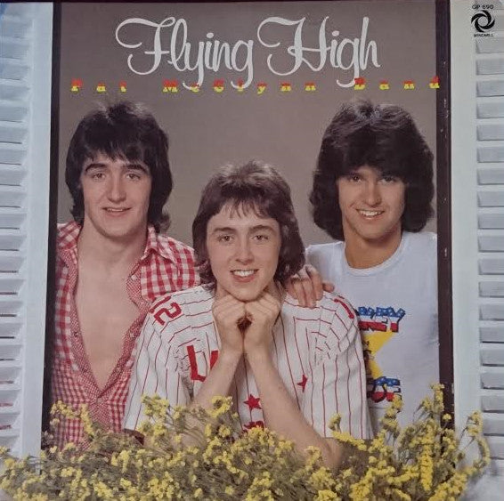 The Pat McGlynn Band - Flying High (Vinyl, LP, Album, Picture Disc) Very Good Plus (VG+) / Very Good Plus (VG+)