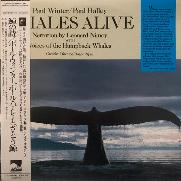 Paul Winter (2) - Whales Alive (Vinyl, LP, Album) Very Good Plus (VG+) / Very Good Plus (VG+)