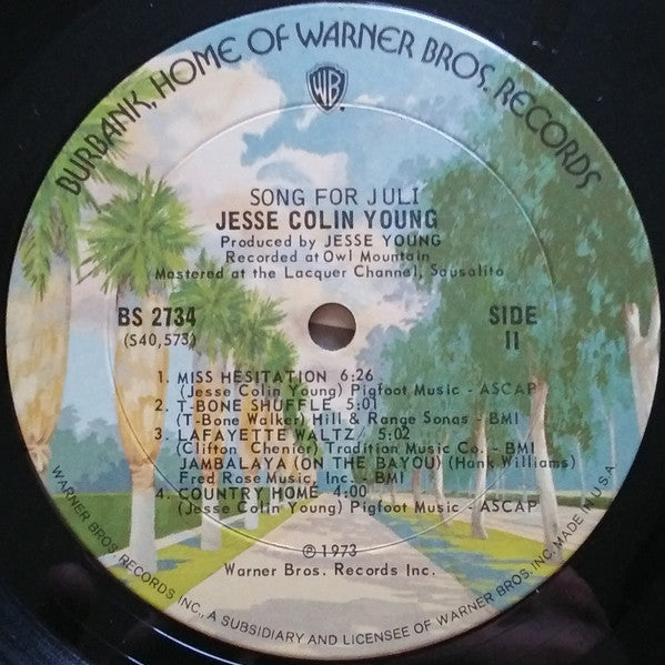 Jesse Colin Young - Song For Juli (Vinyl, LP, Album) Good Plus (G+) / Very Good (VG)
