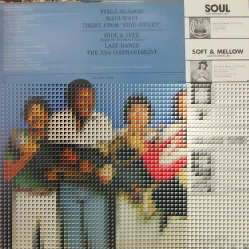 Chuck Mangione - Feels So Good (Vinyl, LP, Album, Reissue, Stereo) Very Good Plus (VG+) / Very Good Plus (VG+)