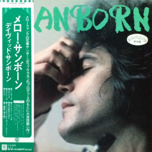 David Sanborn - Sanborn (Vinyl, LP, Album, Promo) Very Good Plus (VG+) / Good Plus (G+)