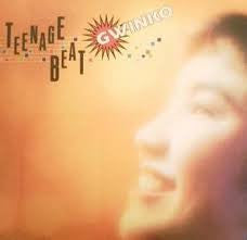 Gwinko - Teenage Beat (Vinyl, LP, Album, Promo) Very Good Plus (VG+) / Very Good Plus (VG+)