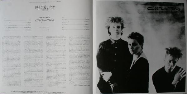 Cocteau Twins - Treasure (Vinyl, LP, Album) Near Mint (NM or M-) / Very Good Plus (VG+)