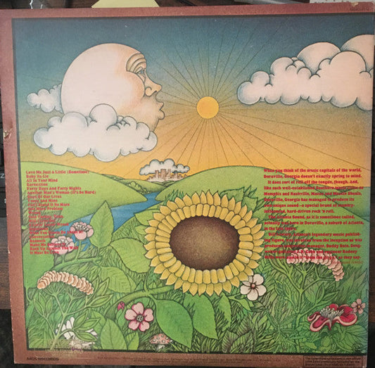 Atlanta Rhythm Section - Atlanta Rhythm Section (2xVinyl, LP, Compilation) Very Good Plus (VG+) / Very Good Plus (VG+)