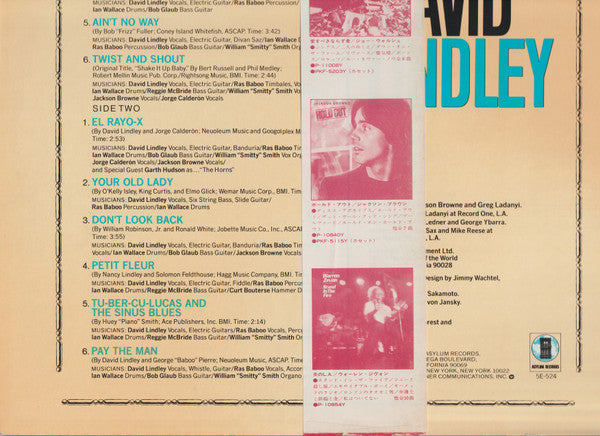 David Lindley - 化けもの (Vinyl, LP, Album) Very Good (VG) / Very Good Plus (VG+)