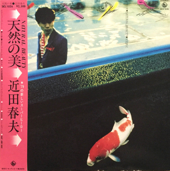 Haruo Chikada - Natural Beauty (Vinyl, LP, Stereo) Very Good Plus (VG+) / Very Good Plus (VG+)