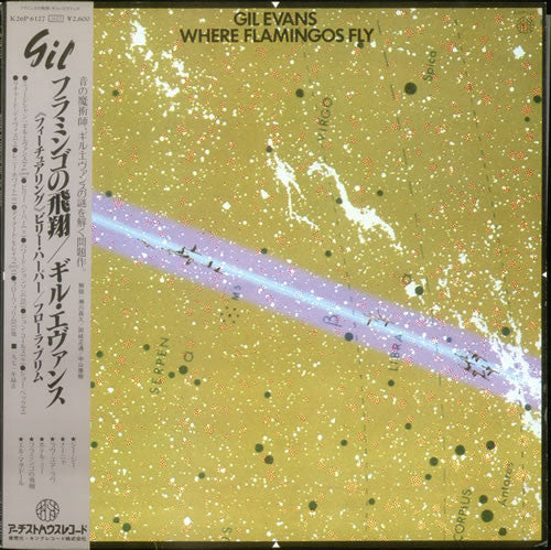 Gil Evans - Where Flamingos Fly (Vinyl, LP, Album, Stereo) Very Good Plus (VG+) / Very Good Plus (VG+)
