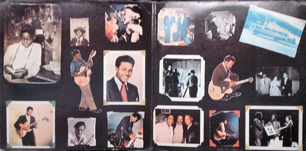 Chuck Berry - Bio (Vinyl, LP, Album) Very Good (VG) / Fair (F)