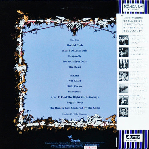 Blondie - The Hunter (Vinyl, LP, Album, Promo) Very Good Plus (VG+) / Good Plus (G+)
