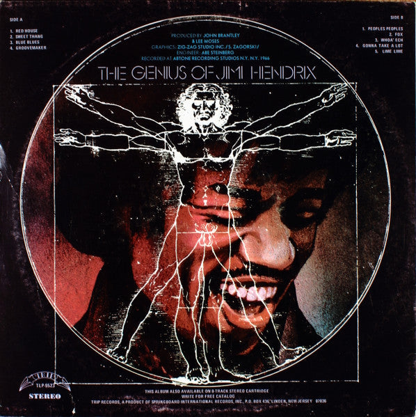 Jimi Hendrix - The Genius Of Jimi Hendrix (Vinyl, LP, Compilation) Very Good (VG) / Good (G)