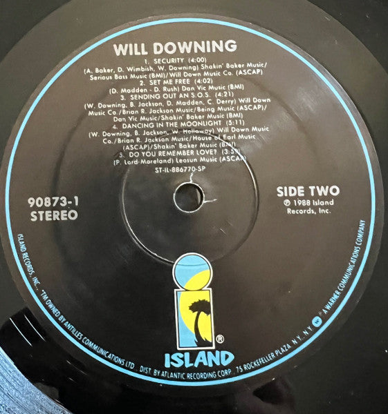 Will Downing - Will Downing (Vinyl, LP, Album) Very Good (VG) / Very Good (VG)