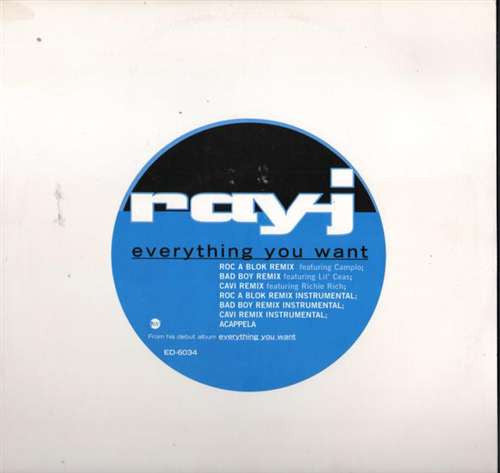 Ray J - Everything You Want (Vinyl, 12", Promo) Very Good (VG) / Very Good (VG)