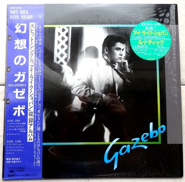 Gazebo - Gazebo (Vinyl, LP, Album) Very Good Plus (VG+) / Very Good (VG)