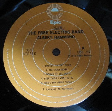Albert Hammond - The Free Electric Band (Vinyl, LP, Album, Promo) Very Good (VG) / Very Good Plus (VG+)