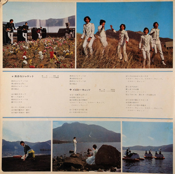 The Tigers (2) - The World Is Waiting For Us (Vinyl, LP, Album, Stereo) Good Plus (G+) / Very Good (VG)