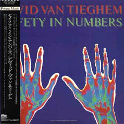 David Van Tieghem - Safety In Numbers (Vinyl, LP, Album, Promo) Very Good Plus (VG+) / Very Good Plus (VG+)