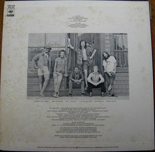 Bruce Springsteen - The Wild, The Innocent & The E Street Shuffle (Vinyl, LP, Album) Very Good (VG) / Very Good Plus (VG+)