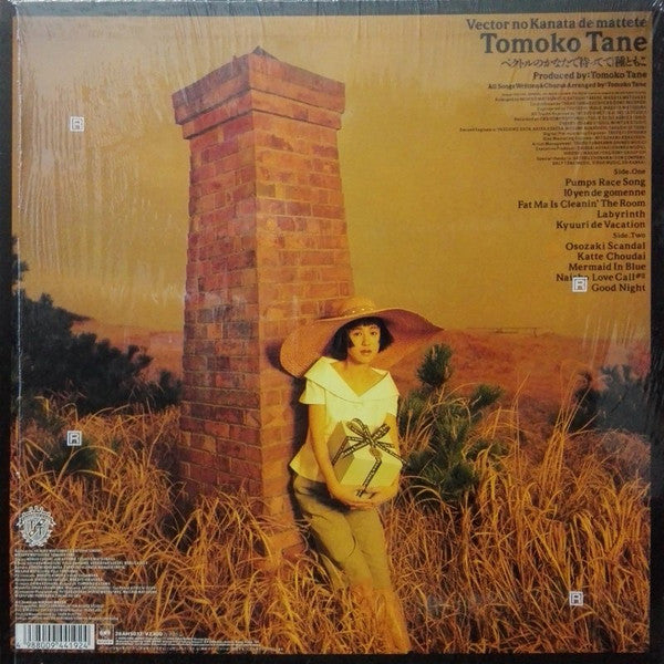 Tomoko Tane - ベクトルのかなたで待ってて (Vinyl, LP, Album) Very Good Plus (VG+) / Good Plus (G+)