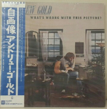 Andrew Gold - What's Wrong With This Picture? (Vinyl, LP, Album) Very Good Plus (VG+) / Very Good (VG)