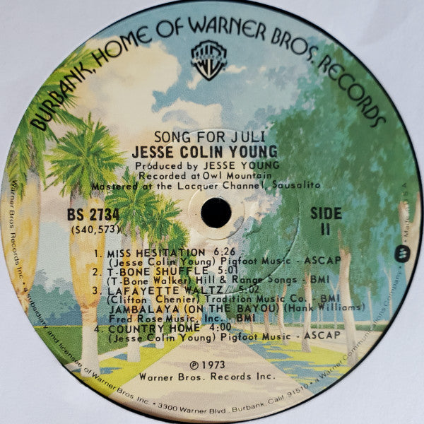 Jesse Colin Young - Song For Juli (Vinyl, LP, Album) Good Plus (G+) / Poor (P)