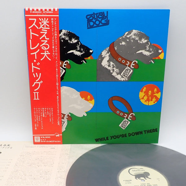 Stray Dog (3) - While You're Down There (Vinyl, LP, Album) Near Mint (NM or M-) / Very Good (VG)