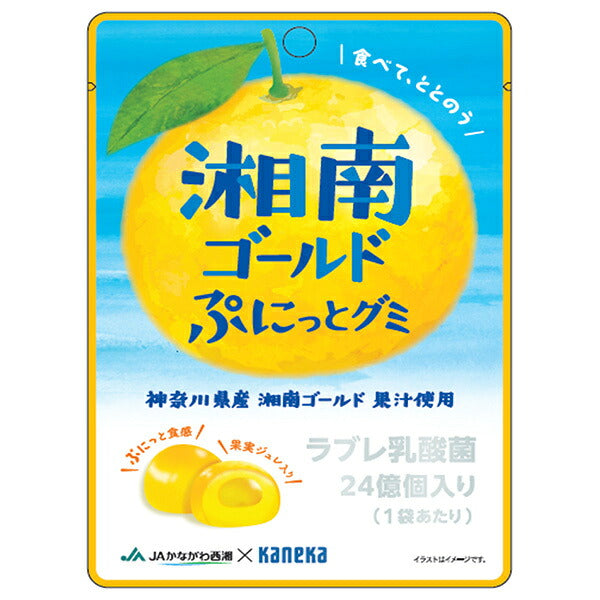 カネカ食品 湘南ゴールド ぷにっとグミ ラブレ乳酸菌入り 40g×10袋入【日本出荷】