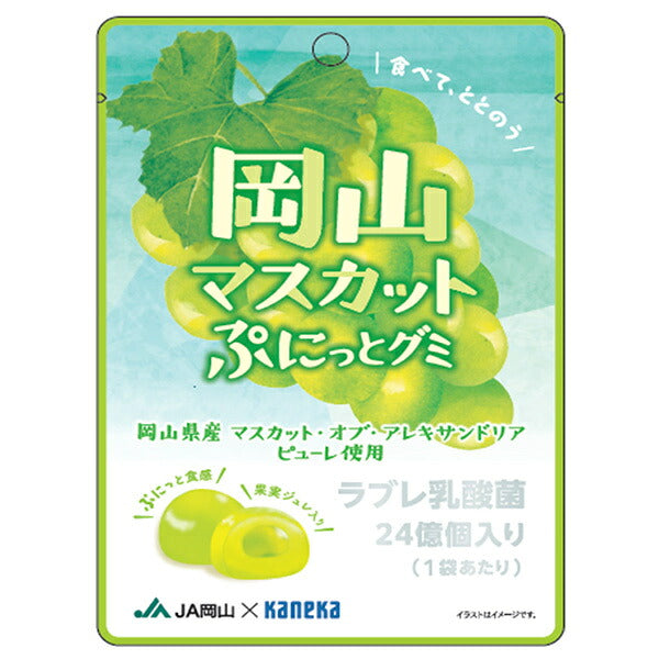 カネカ食品 岡山マスカット ぷにっとグミ ラブレ乳酸菌入り 40g×10袋入【日本出荷】