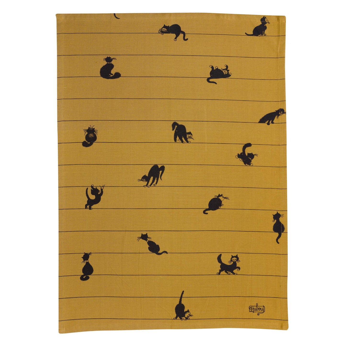 Torsion (Black Cat) Camel