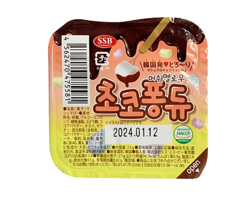 Marshmallow Chocolate Fondue Mini