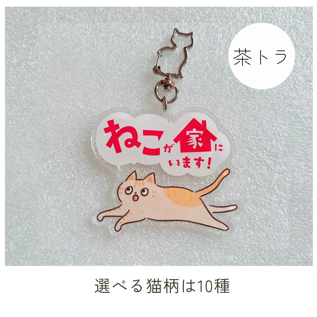 【全10種】家ねこキーホルダー | 連絡先が書ける SOSキーホルダー | 迷子・緊急時に愛猫を守るお守りグッズ