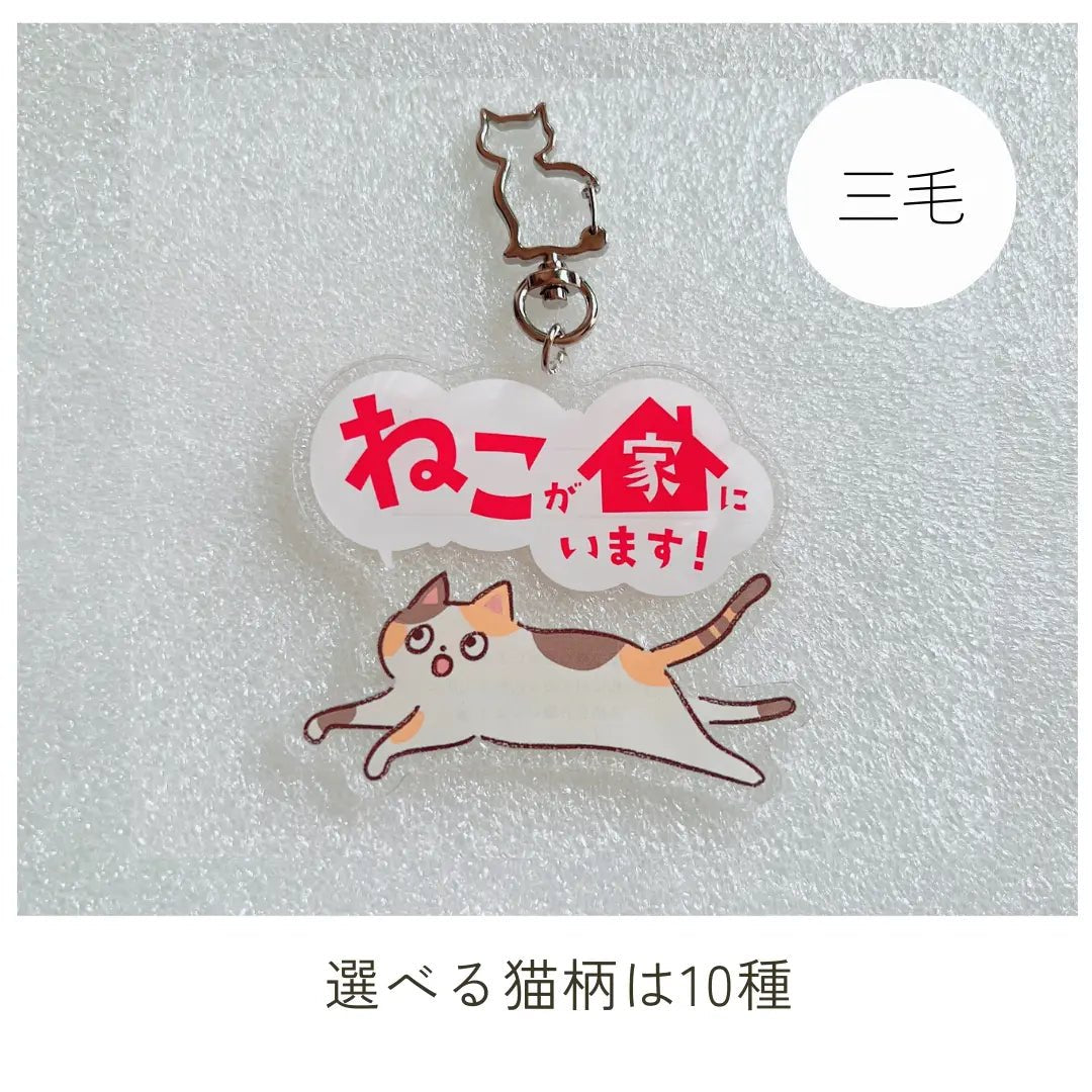 【全10種】家ねこキーホルダー | 連絡先が書ける SOSキーホルダー | 迷子・緊急時に愛猫を守るお守りグッズ