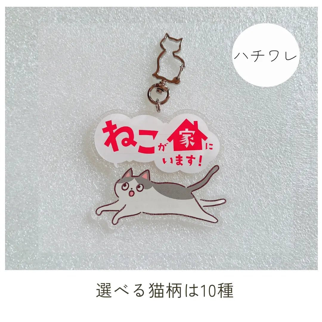 【全10種】家ねこキーホルダー | 連絡先が書ける SOSキーホルダー | 迷子・緊急時に愛猫を守るお守りグッズ