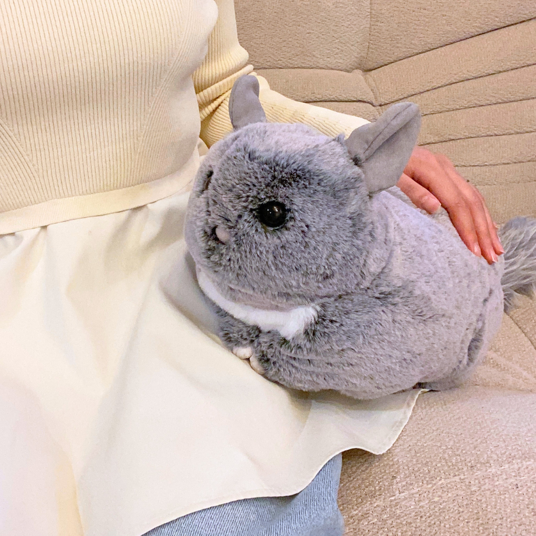 チンチラのふわもこティッシュケース（スタンダードグレー）＜予約販売＞【Nucleotide Nona】