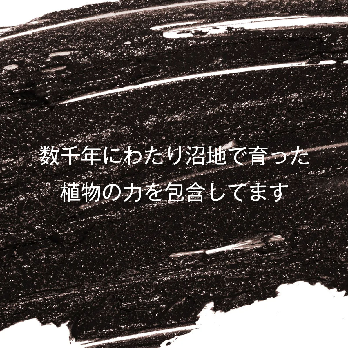 aesti モイスチャライジングコンディショナー 250ml