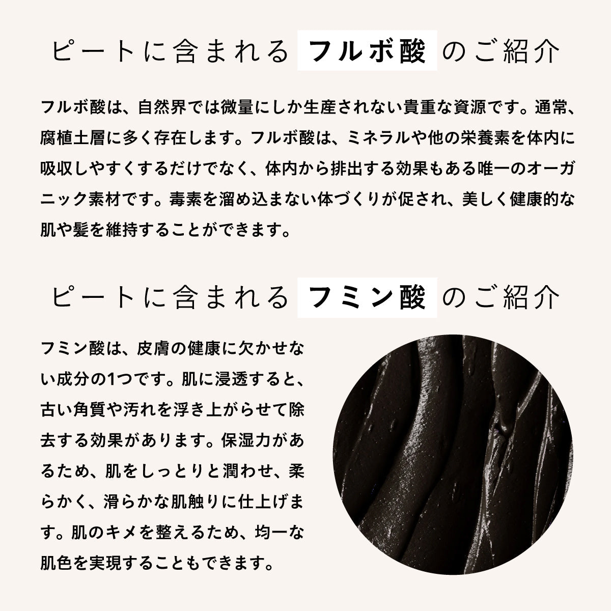 aesti ディープクレンジングシャンプー＆ピートコンディショナーセット