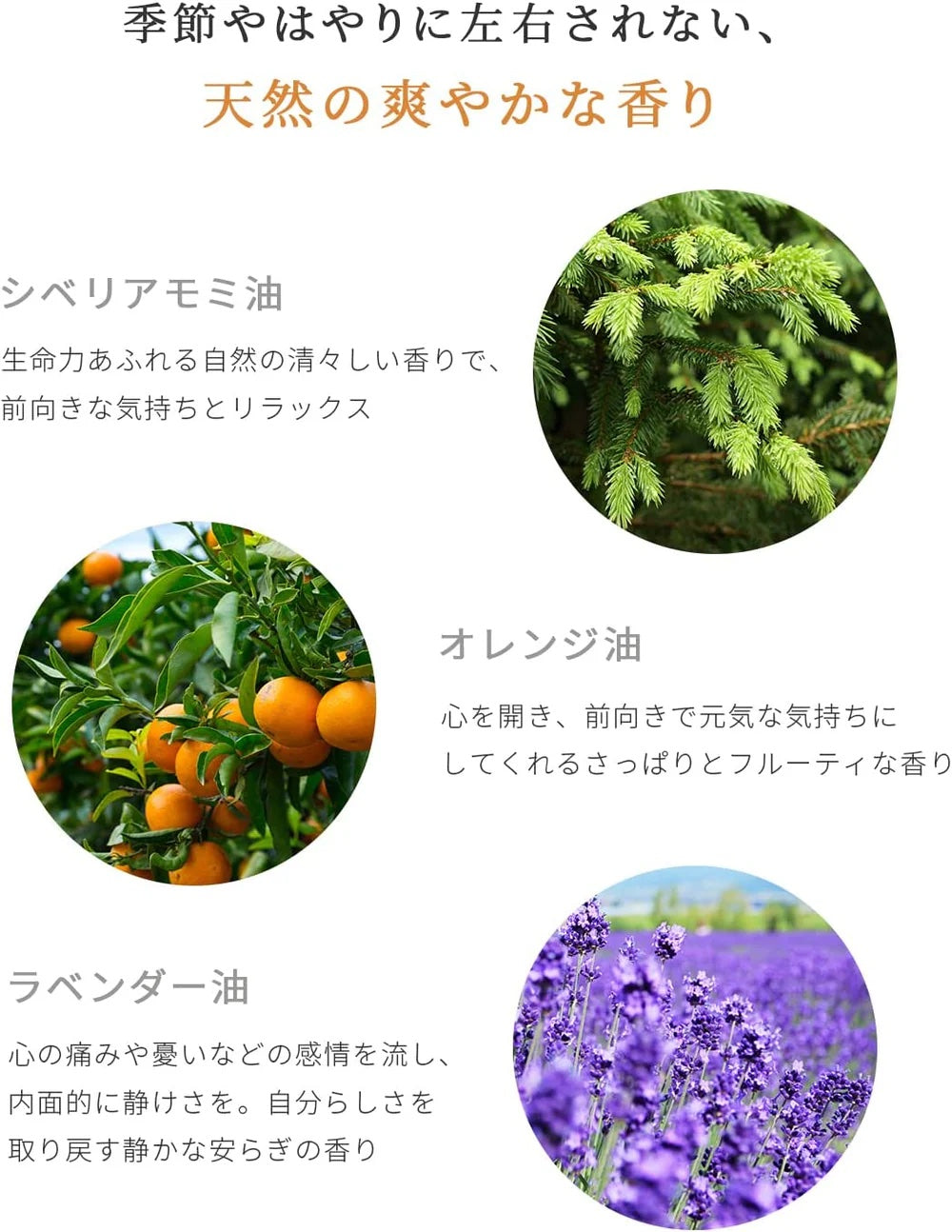 cinque オーガニックシャンプー＆ニュートラルトリートメントSET