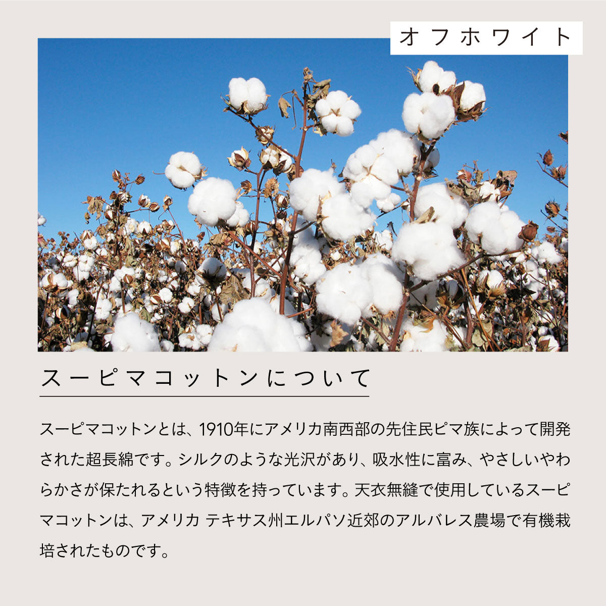 天衣無縫 リブカップ付きタンクトップ ブラウン